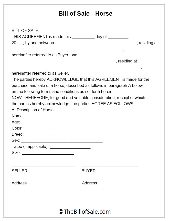 Bill of Sale for Horse